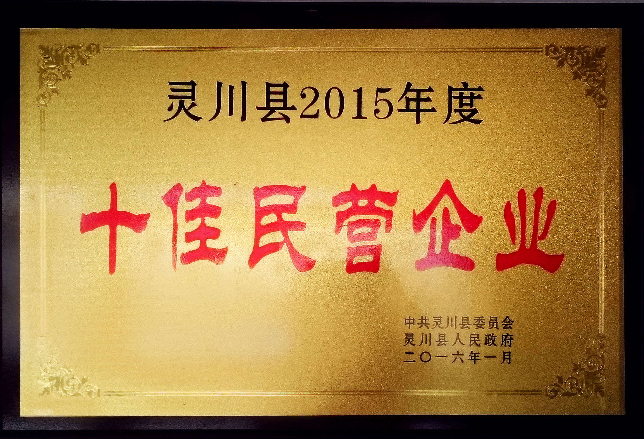 華信制藥2015年度十佳民營(yíng)企業(yè)