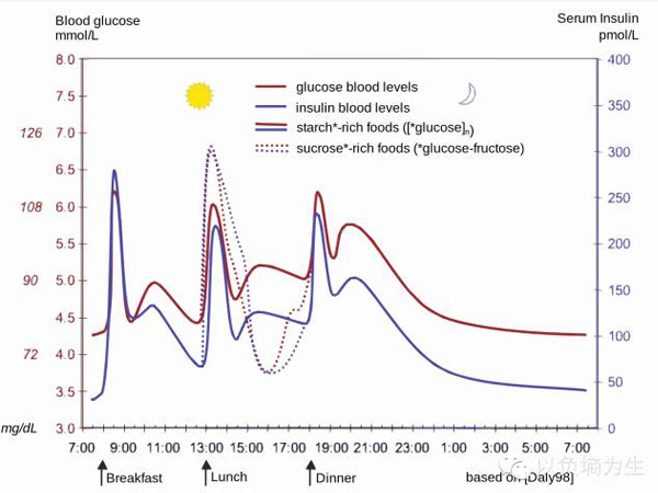 一天當(dāng)中正常的血糖波動(dòng)曲線