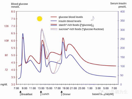 每日血糖和胰島素水平變化的曲線