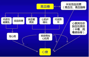 高血糖增加心衰風(fēng)險的可能機(jī)制