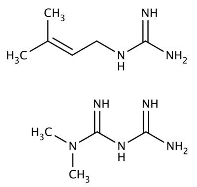 兩種胍類(lèi)小分子，山羊豆堿（上）和二甲雙胍（下）