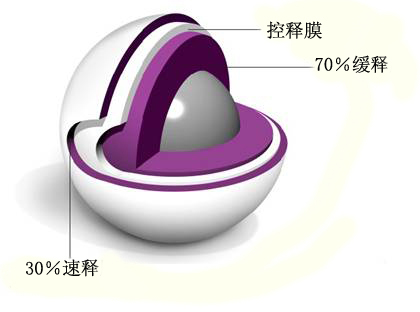 單硝酸異山梨酯緩釋膠囊小丸模型